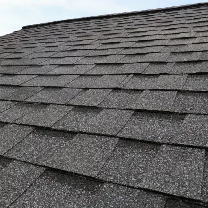 Shingle roof