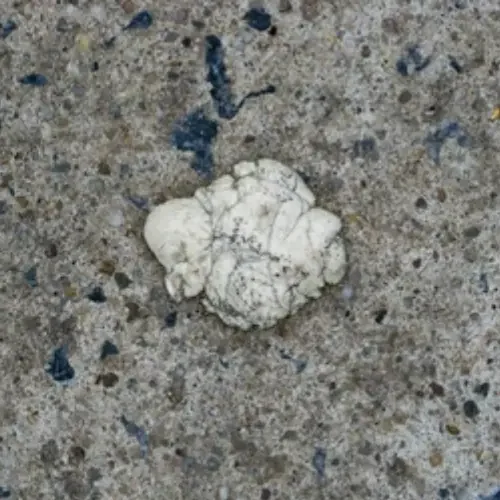 Concrete and a sticky gum